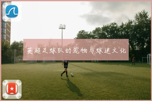 英超足球队的宠物与球迷文化