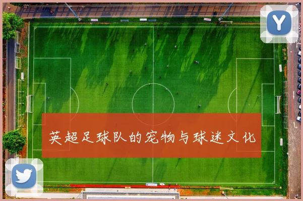 英超足球队的宠物与球迷文化